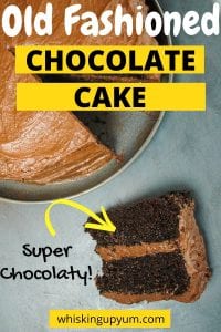 Classic moist chocolate cake