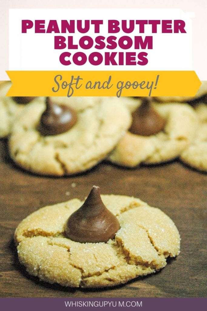 Peanut butter and chocolate cookies